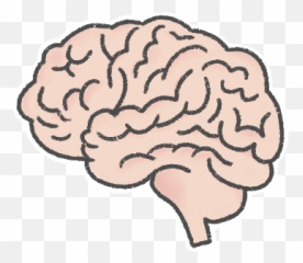 Writing Resistance The War Of Art Or An Emotional Tiger Hunt - Brain Emoji,Quote Emotions Mind
