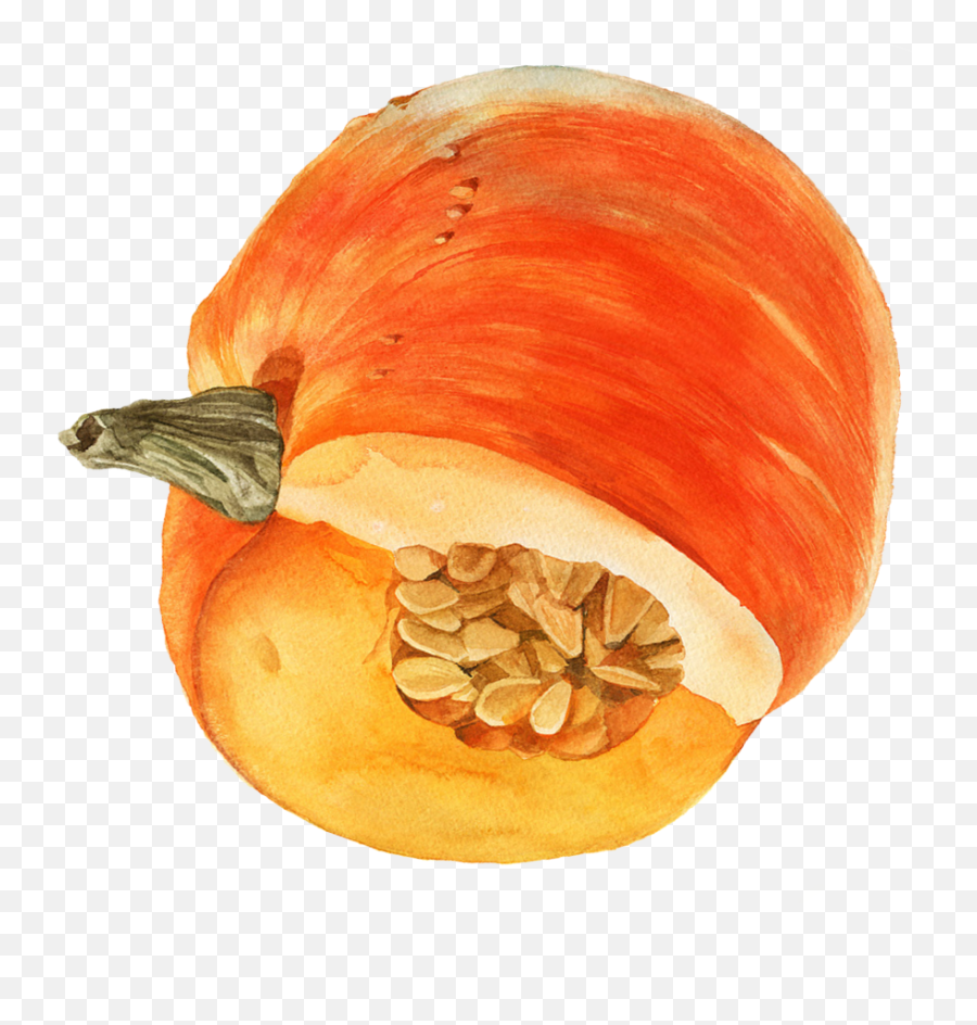 Watercolor Pumpkin Png - Watercolor Pumpkin Png Emoji,Pumpkin Emoticon Pixel