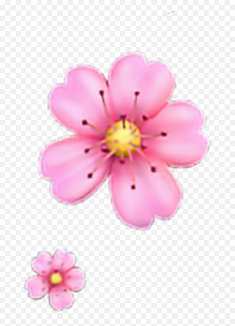 Garden Cosmos Transparent Png Image - Flower Emoji Transparent Background,Pink Flower Emoji