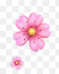 Garden Cosmos Transparent Png Image - Flower Emoji Transparent Background,Pink Flower Emoji
