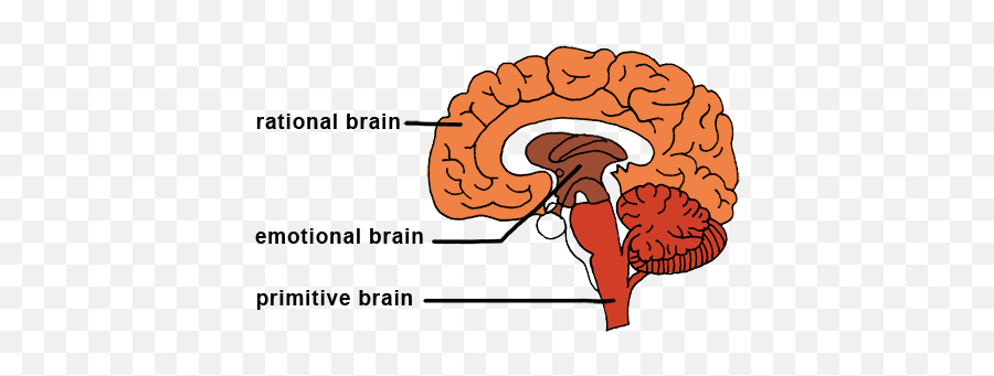 Neurlogical Triggers - Palancas De Primer Genero Emoji,Primitive Emotions