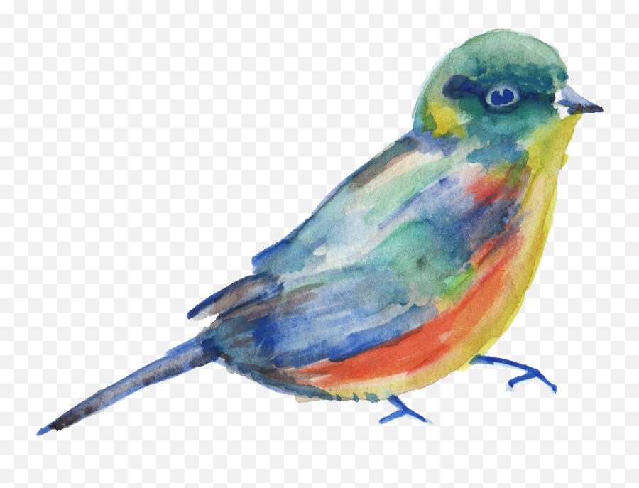 Bird Parrot Transparent Watercolor Watercolor Painting - Watercolor Bird Transparent Background Emoji,Parrot Emoji