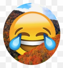 Sandrawinterthelabel Shopify Store Listing Emoji,Gaia Online Emoticon
