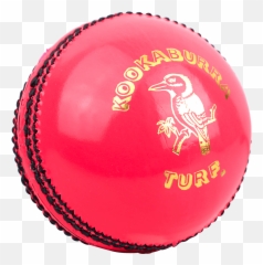 Cricket Ball Png Resolution1000x1000 Transparent Png Image Emoji,Crickets Emoji Png