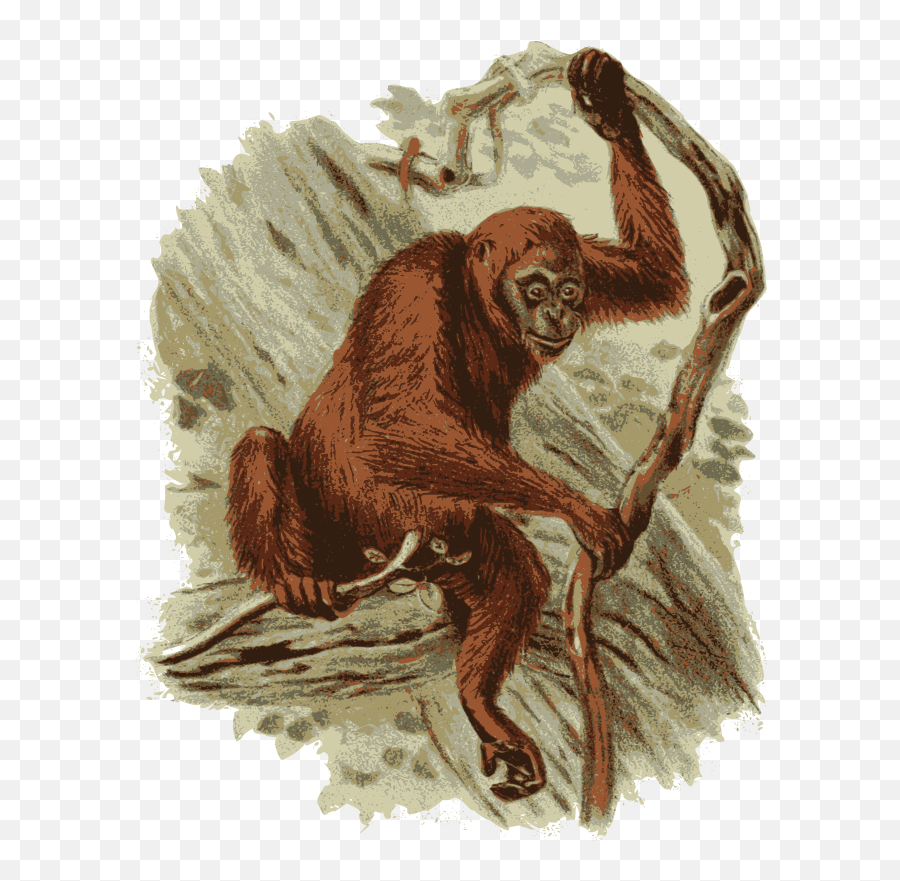 Openclipart - Clipping Culture Emoji,Orangutan Emoji