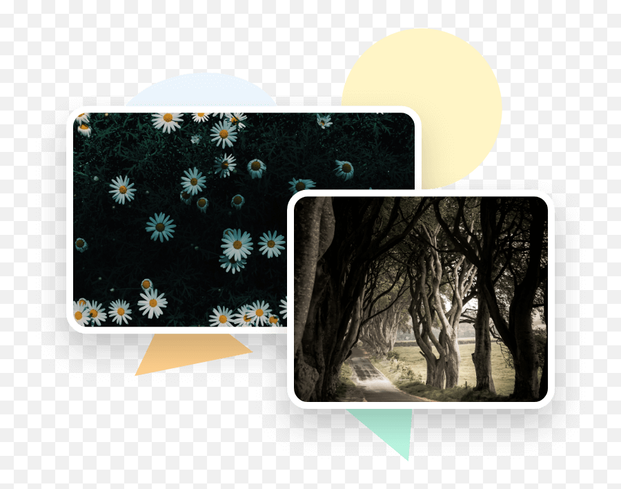 Zoom Virtual Background - Create Virtual Background Images Emoji,Snwoflake Tree Emoji