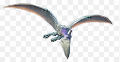 Caztoraptor Productions - Accipitriformes Emoji,Pterodactyl Emoji