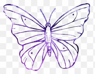 Butterfly Purple Drawing Free Image Download Emoji,Cute Butterfly Emoticon