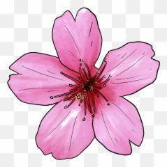 45 Types Of Pink Flowers Custom Graphics Emoji,Aesthetic Pink Flower Emoji