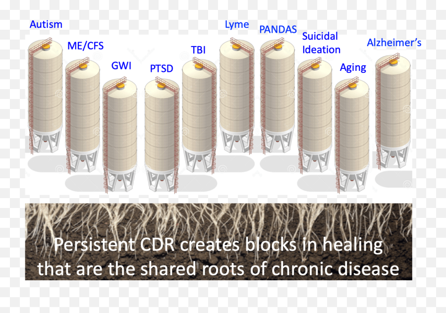 From Environmental Toxicants To The Cell Danger Response Of - Cylinder Emoji,Biological Aspect Of Emotions And Diseases