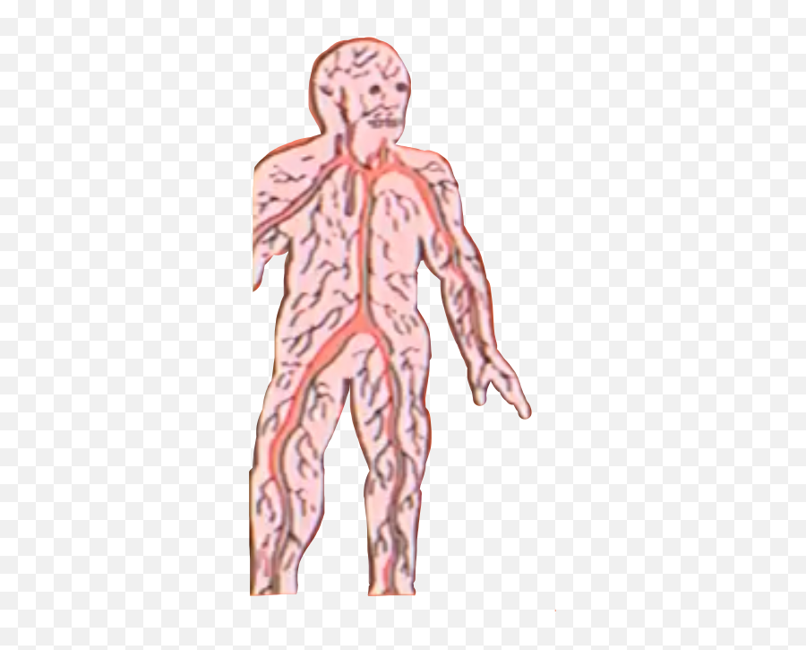 Man Manskin Skin Nerves Sticker By Patstug - Natural Waist Emoji,Muscle Woman Emoji