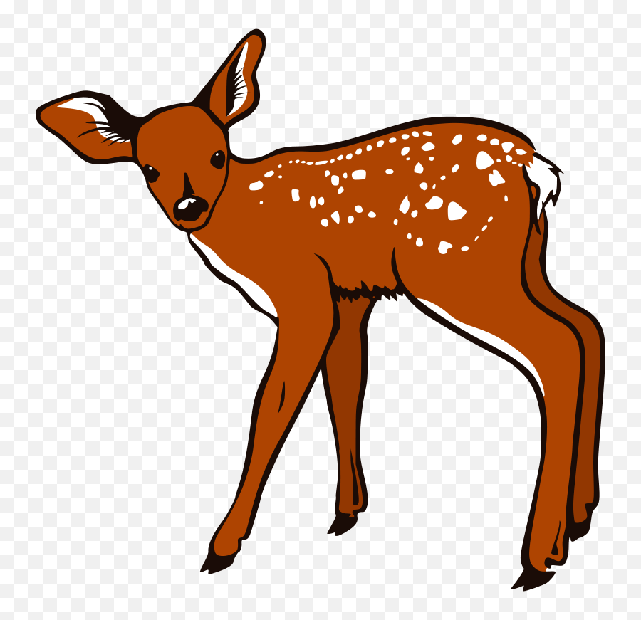 Cute Baby Deer Clipart Free Clipart - Fawn Clipart Emoji,Real Deer Emoji