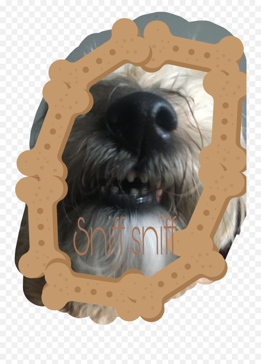 The Most Edited Snif Picsart Emoji,Make Schnauzer Emoticon