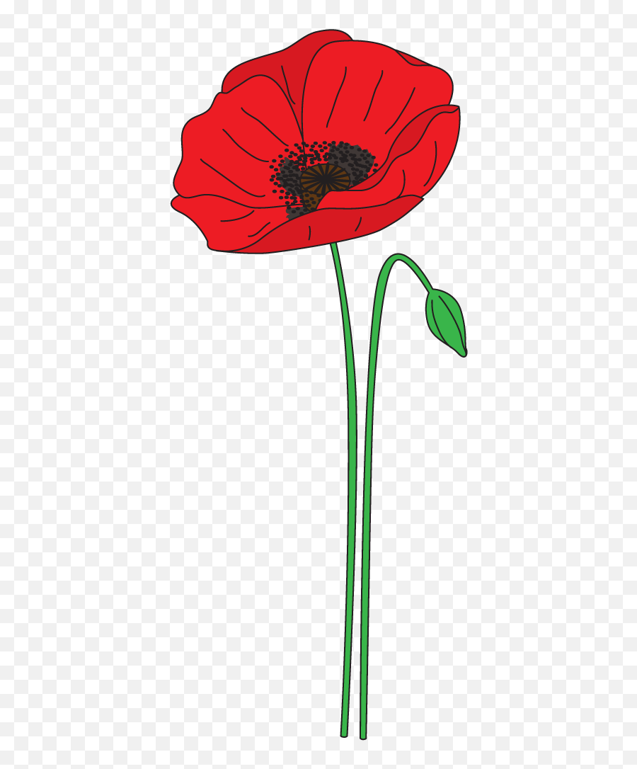 Plant Clipart Poppy Plant Poppy - Easy Anzac Poppy Art Emoji,Poppy Emoji