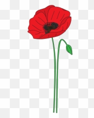 Plant Clipart Poppy Plant Poppy - Easy Anzac Poppy Art Emoji,Poppy Emoji