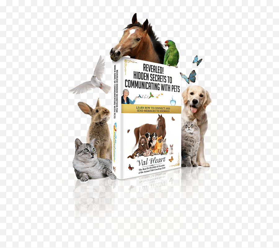 Human Animal Bodymind Connection - Dog Supply Emoji,Dogs Emotions