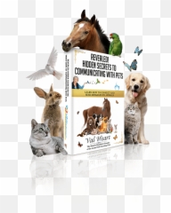 Human Animal Bodymind Connection - Dog Supply Emoji,Dogs Emotions