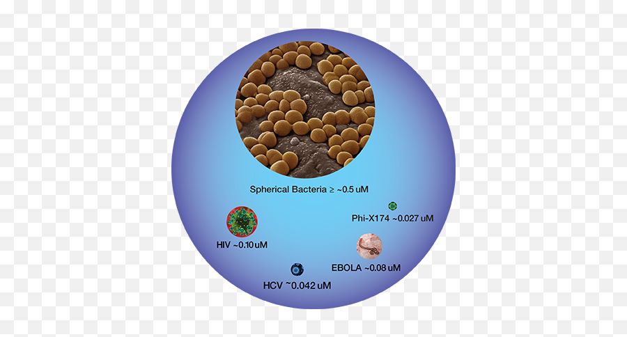 Biohazard Protection Against Blood - Borne Pathogens Provent Emoji,Bloodborne Make Contact Emoji