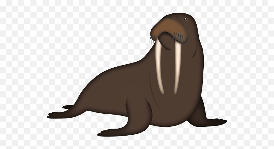 Is There A Marine Emoji,Pictures Of Animals Emojis