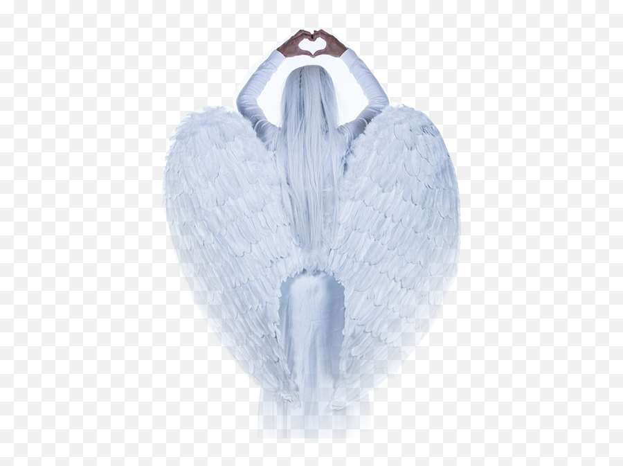 About Emoji,Angel Wing Emoji