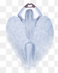About Emoji,Angel Wing Emoji
