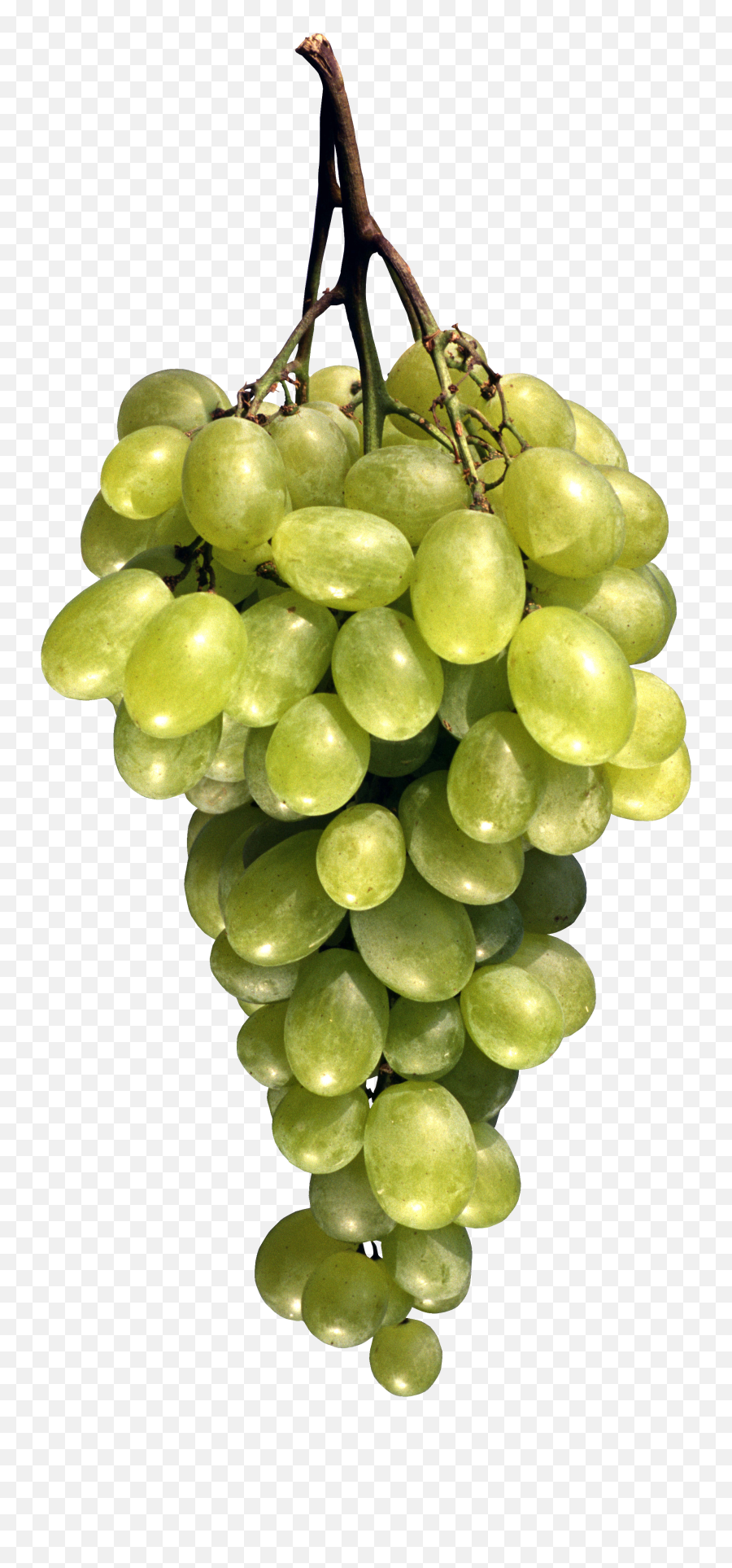 Grape Transparent Image - Fruit Png Images Free Download Emoji,Grape Emoji Png