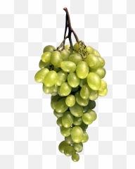 Grape Transparent Image - Fruit Png Images Free Download Emoji,Grape Emoji Png