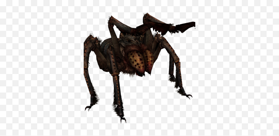 Frostbite Spider Skyrim Elder Scrolls Fandom - Skyrim Frostbite Spider Png Emoji,Dire Spider Emoticons