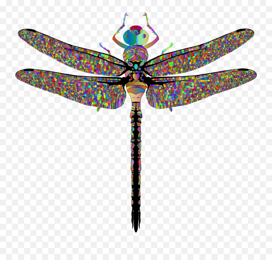 Dragonfly Insect Animal - Girly Emoji,Dragonfly Text Emoticon