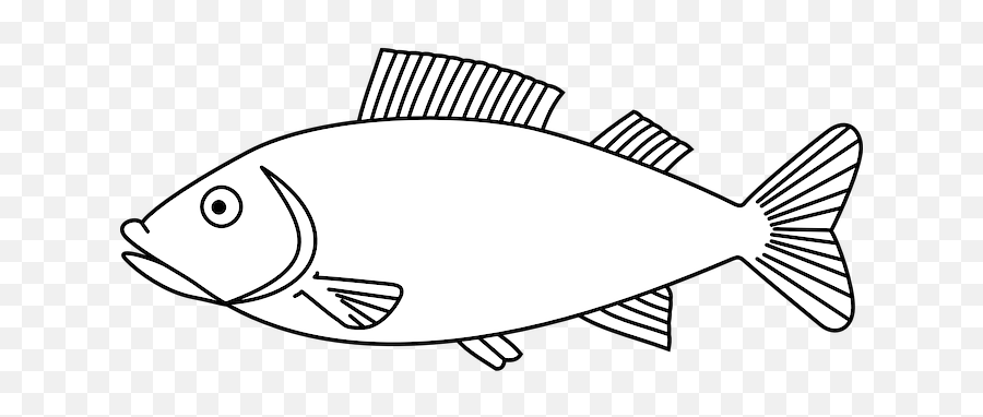 Download Water Outline White Fish - Colouring Page Of A Fish Emoji,White Fish Emoji