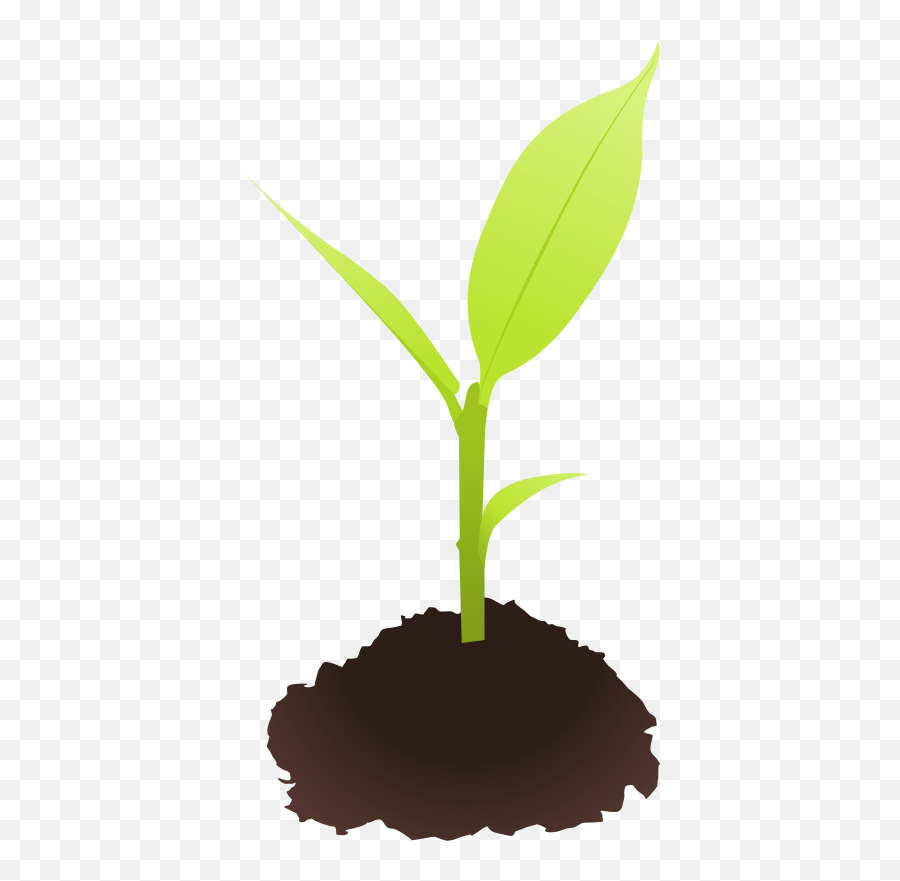 Small Plant - Openclipart Small Plant Clipart Png Emoji,Free Emojis Plants