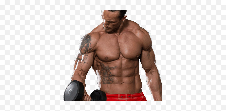 Download Learn How To Build Muscle And Lose Weight At Legal Emoji,Dumbbell Emojis