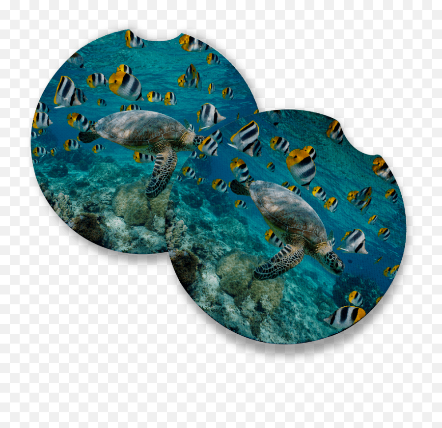 Sea Turtle With Sickle Butterflyfish Car Coasters For Drinks Set Of 2 Car Coaster Measures 256 Inches With Rubber Backing Emoji,Cold Turtle Emoticon