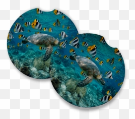 Sea Turtle With Sickle Butterflyfish Car Coasters For Drinks Set Of 2 Car Coaster Measures 256 Inches With Rubber Backing Emoji,Cold Turtle Emoticon