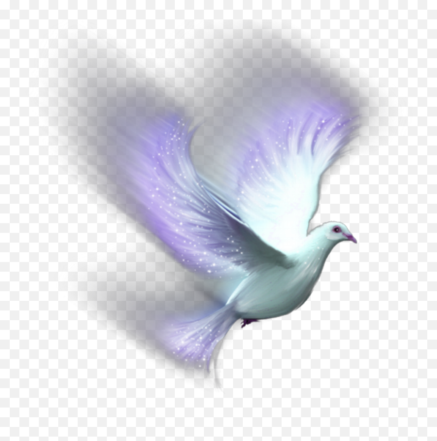 Bird Red Spiral Aesthetic Crown Sticker By Esma Sla - Lovely Emoji,Dove Of Peace Emoji