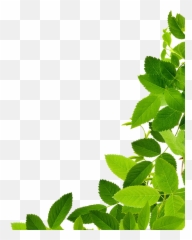 Download Png Leaves Png U0026 Gif Base - Leaves Hd Png Emoji,Fall Leave Emoji