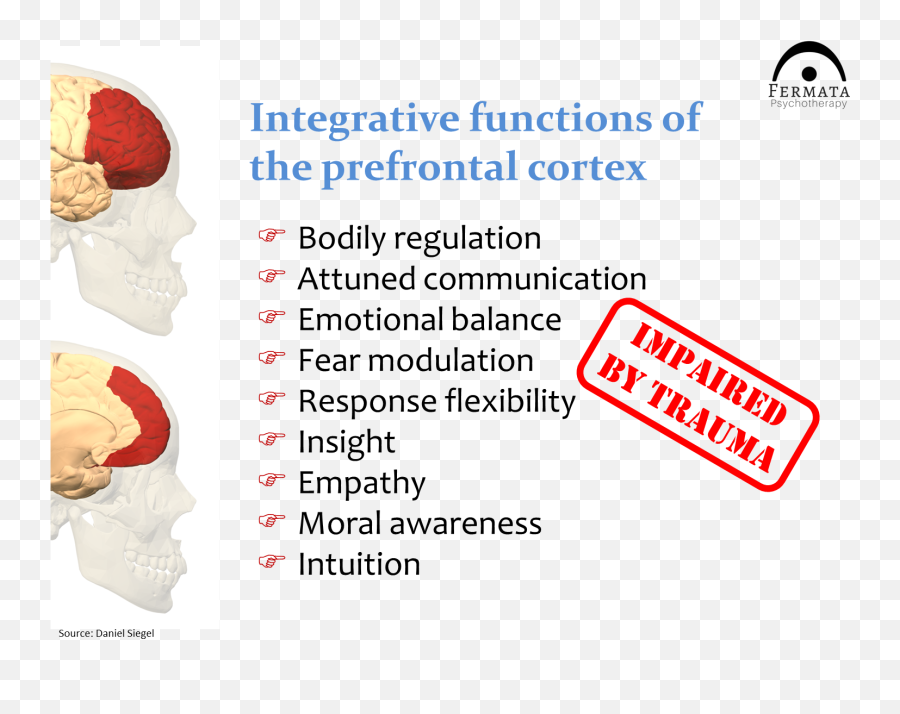 Trauma And The Brain U2014 Fermata Psychotherapy - For Adult Emoji,Anatomy Of Emotions