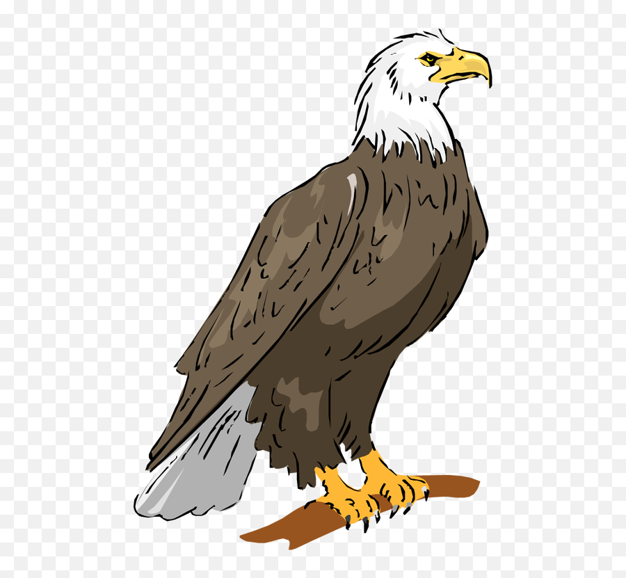 Bald Eagle Eagle Clipart - Clipartix Free Clip Art Eagle Emoji,Bald Emoji