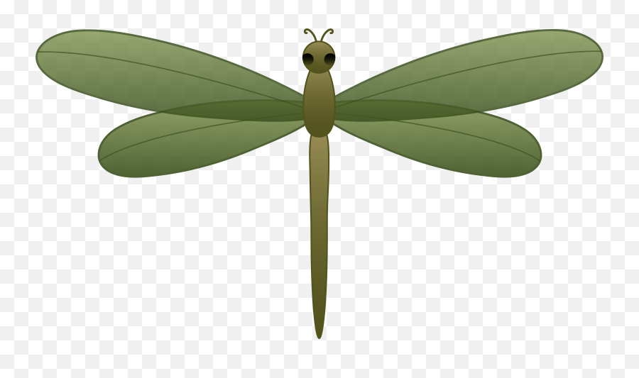 Cartoon Dragonfly Pictures - Cartoon Dragon Fly Png Emoji,Dragonfly Emoticon