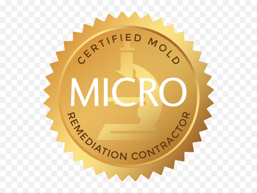 Moho Solution - Certified Mold Remediation Contractor Emoji,Ignite Your Emotion Abih