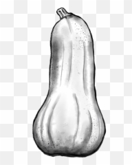 About Compostable La - Butternut Squash Emoji,Butternut Squash With A Human Face And Emotions
