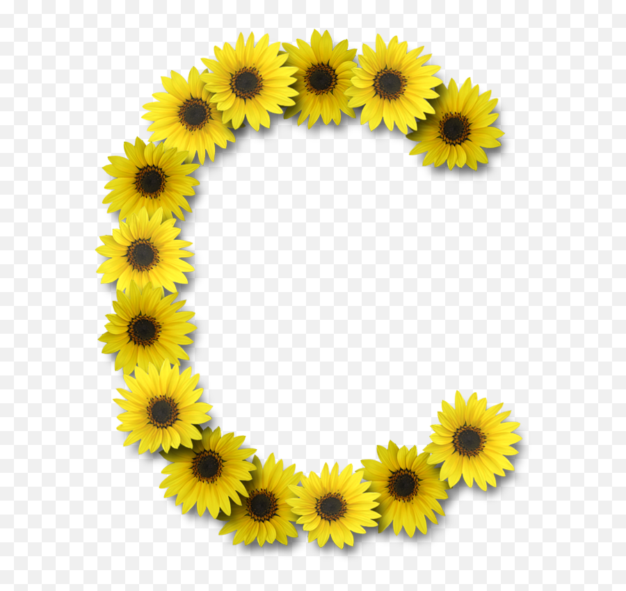 Sunflower Girassol Tumblr Png - Sunflower Letter G Emoji,Sunflowers Emotion