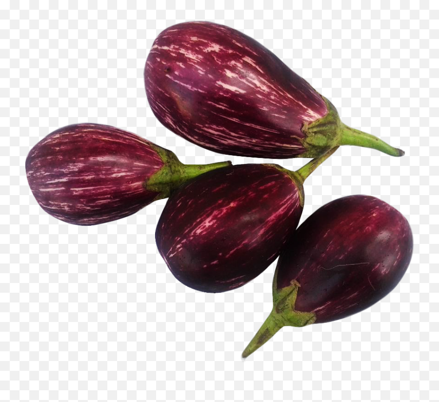 Brinjal - Birnjal Images Png Hd Emoji,Veiny Eggplant Emoji
