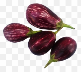 Brinjal - Birnjal Images Png Hd Emoji,Veiny Eggplant Emoji