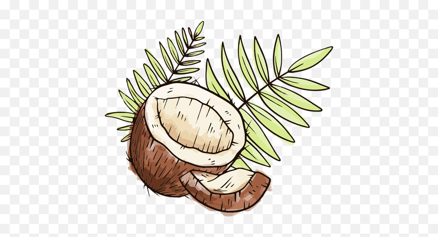 Half Coconut With Leaves Watercolor - Transparent Png U0026 Svg Hojas De Acuarela Png Transparente Emoji,Coconut Tree Emoticon