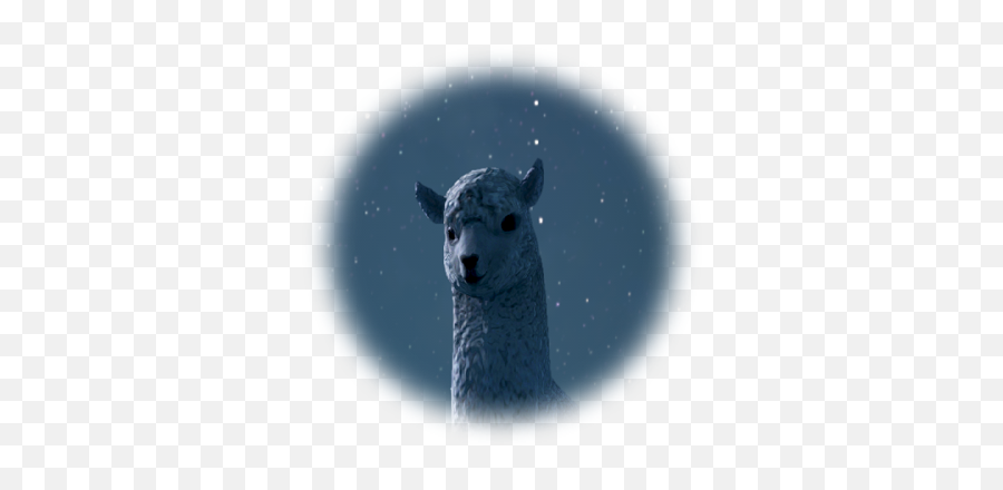 Bdo Rare Wild Hunting Mobs Llama Bear Hyena Grumpyg - Llama Emoji,Monster Hunter World Emojis