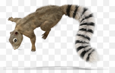 Forest Animal Squirrel Fur Tail Cute - Squirrel Raccoon Cartoon Emoji,Sweet Emotions Tail