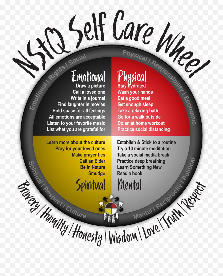 Nstq Covid - 19 Selfcare Wheel Nstc Emoji,Status Em Emotions