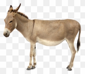 Tags - Donkey Png Free Png Images Starpng Emoji,Shrek Donkey Emoticon
