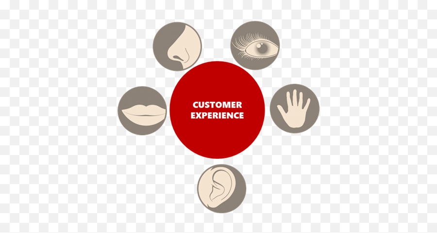 Customer Service Customer Experience Customer Centricity - Dot Emoji,Throwing Confetti Emoticon
